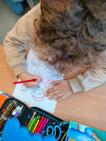 WhatsApp Image 2026-01-27 at 17.11.01.jpeg