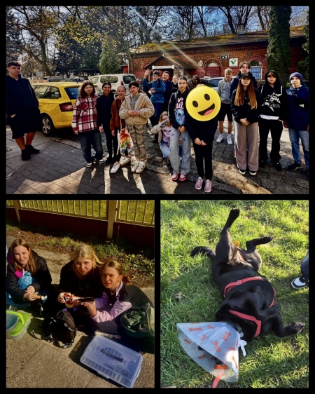 Niedzielny poranek w Towarzystwie Opieki nad Zwierzętami