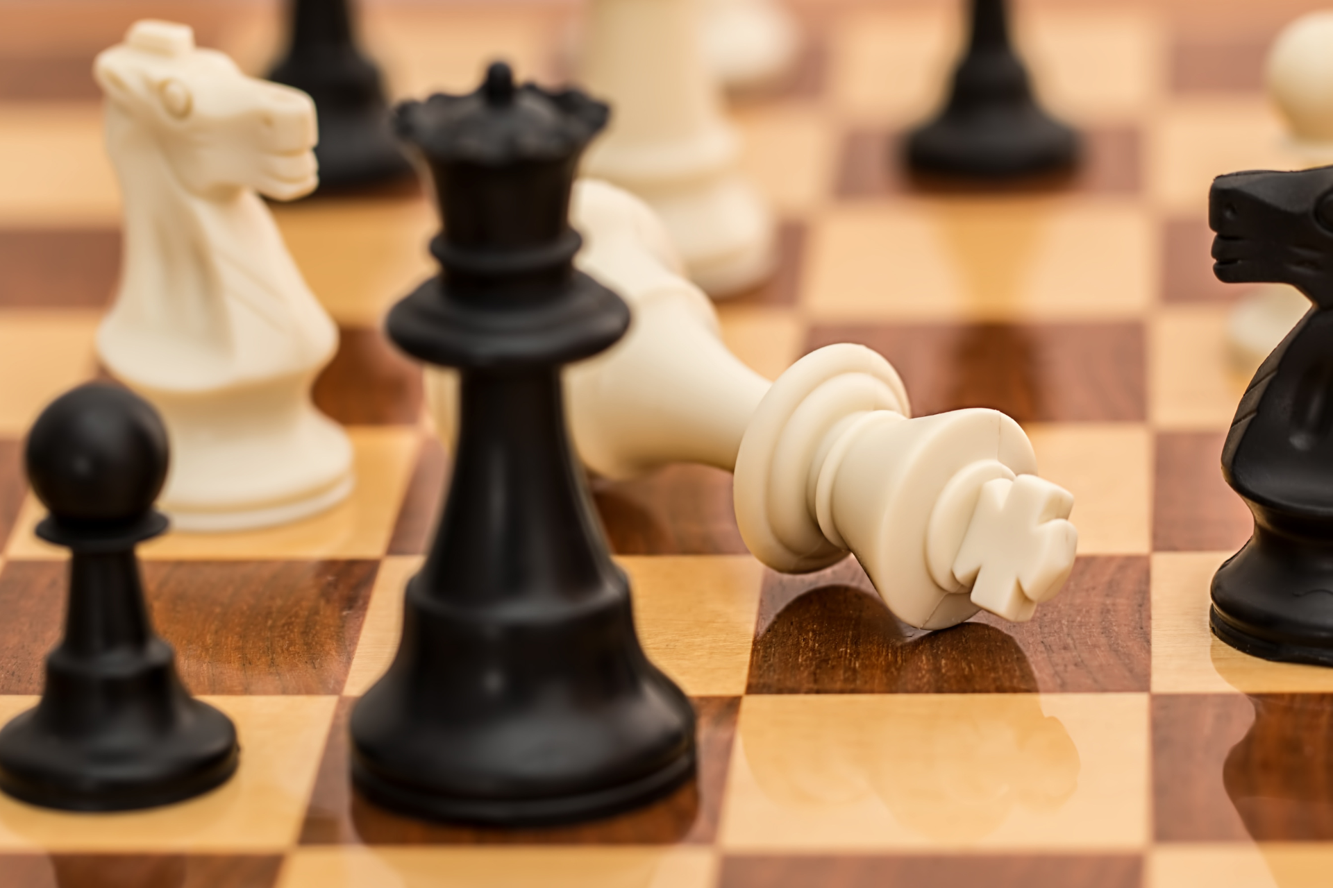 Świetne wyniki naszych uczniów w Międzynarodowym Konkursie Zadań Szachowych Konik Szachowy! 